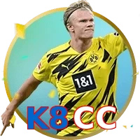 K8CC